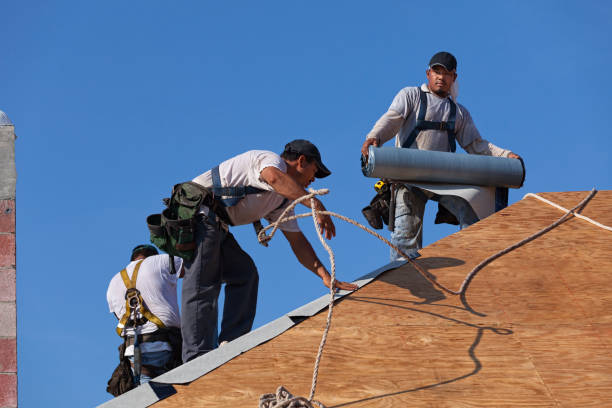 Best Roof Leak Repair  in Des Plaines, IL