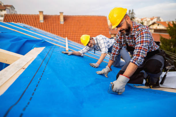 Quick and Trustworthy Emergency Roof Repair Services in Des Plaines, IL